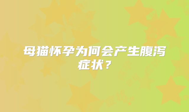 母猫怀孕为何会产生腹泻症状？