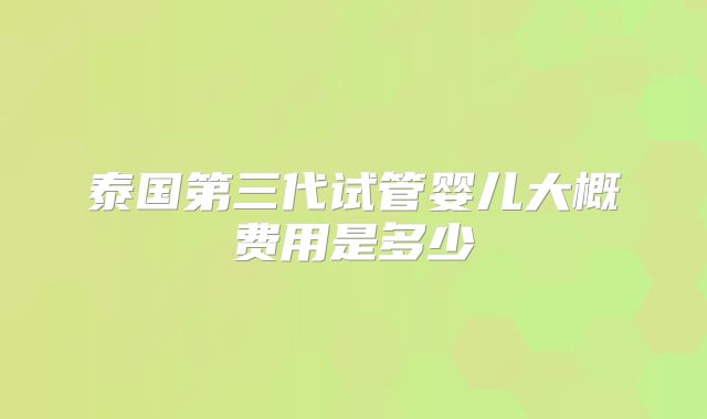 泰国第三代试管婴儿大概费用是多少