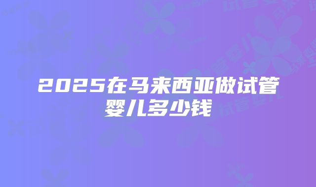 2025在马来西亚做试管婴儿多少钱