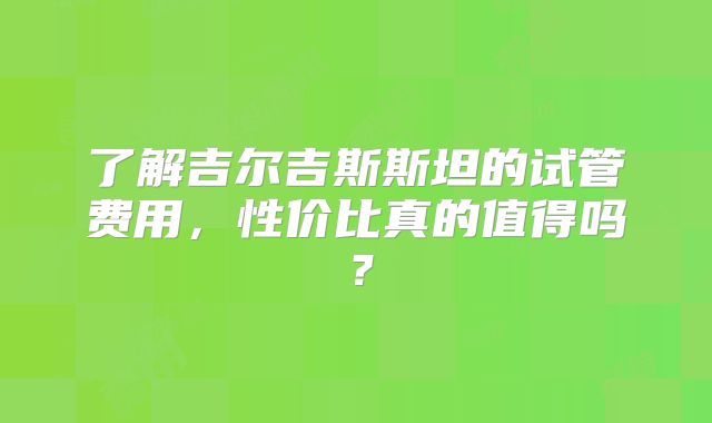 了解吉尔吉斯斯坦的试管费用,性价比真的值得吗?