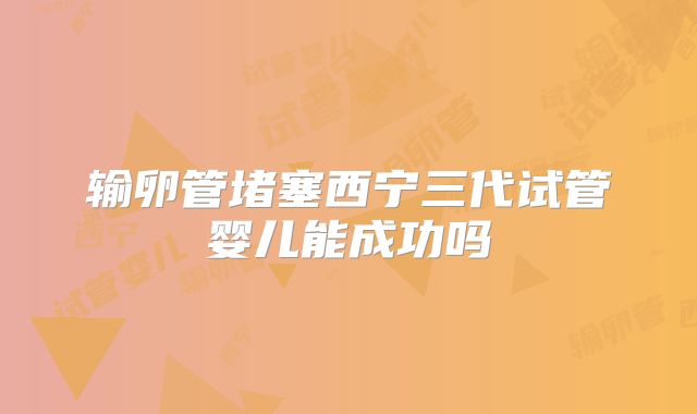 输卵管堵塞西宁三代试管婴儿能成功吗