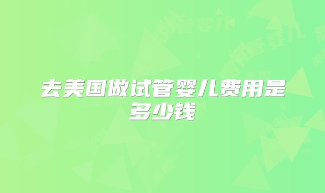 去美国做试管婴儿费用是多少钱