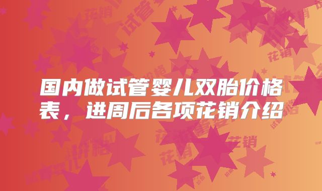 国内做试管婴儿双胎价格表，进周后各项花销介绍