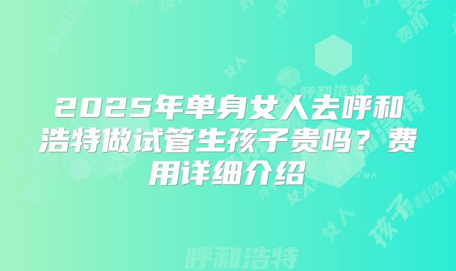 2025年单身女人去呼和浩特做试管生孩子贵吗?费用详细介绍