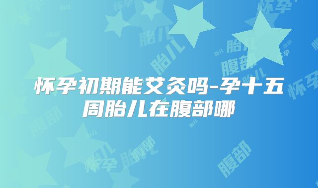 怀孕初期能艾灸吗-孕十五周胎儿在腹部哪