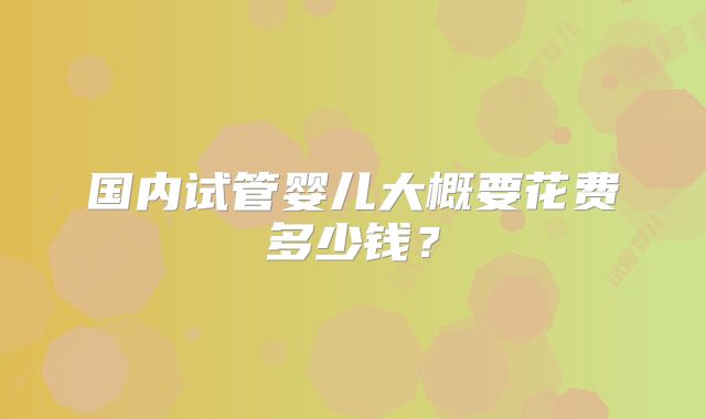 国内试管婴儿大概要花费多少钱？
