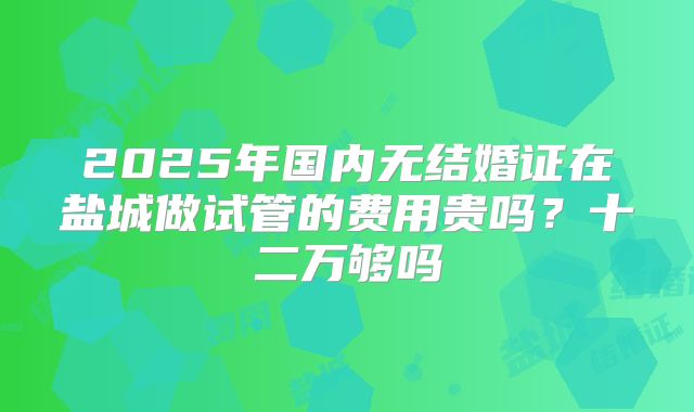 2025年国内无结婚证在盐城做试管的费用贵吗？十二万够吗