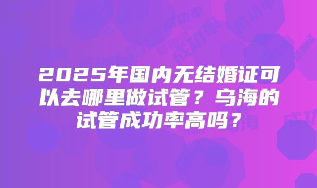 2025年国内无结婚证可以去哪里做试管？乌海的试管成功率高吗？
