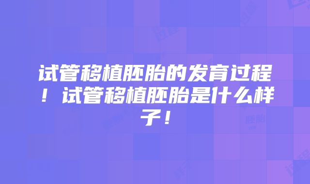 试管移植胚胎的发育过程!试管移植胚胎是什么样子!