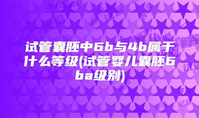 试管囊胚中6b与4b属于什么等级(试管婴儿囊胚6ba级别)
