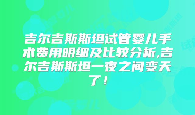 吉尔吉斯斯坦试管婴儿手术费用明细及比较分析,吉尔吉斯斯坦一夜之间变天了!