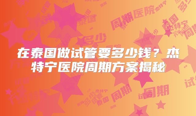 在泰国做试管要多少钱?杰特宁医院周期方案揭秘