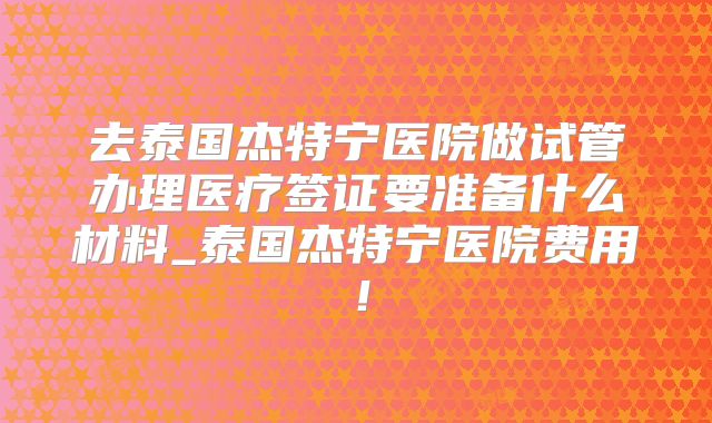 去泰国杰特宁医院做试管办理医疗签证要准备什么材料_泰国杰特宁医院费用！