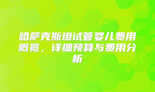 哈萨克斯坦试管婴儿费用概览,详细预算与费用分析