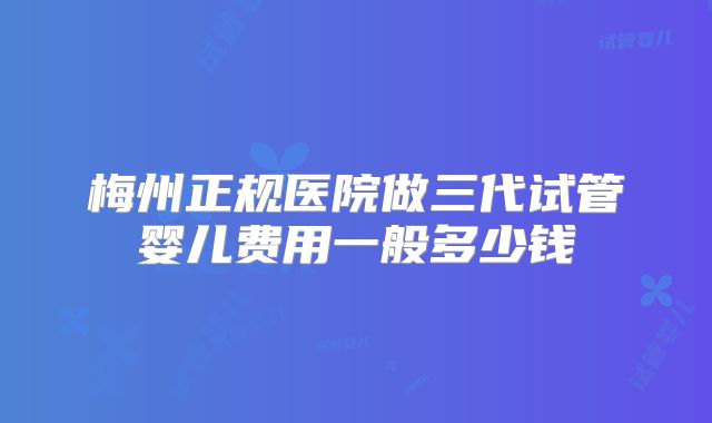 梅州正规医院做三代试管婴儿费用一般多少钱