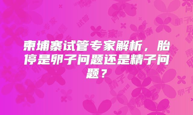柬埔寨试管专家解析，胎停是卵子问题还是精子问题？