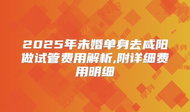 2025年未婚单身去咸阳做试管费用解析,附详细费用明细