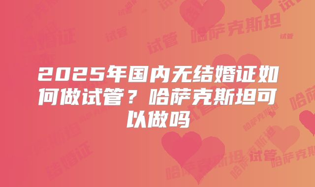 2025年国内无结婚证如何做试管？哈萨克斯坦可以做吗