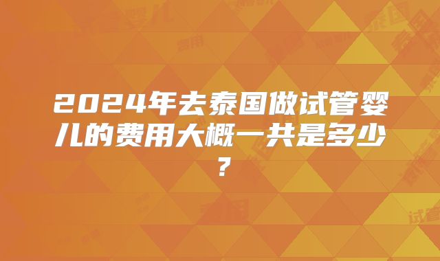 2024年去泰国做试管婴儿的费用大概一共是多少?