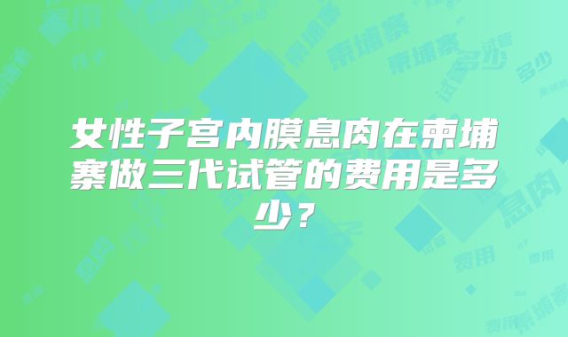 女性子宫内膜息肉在柬埔寨做三代试管的费用是多少？