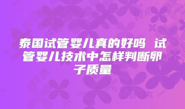 泰国试管婴儿真的好吗 试管婴儿技术中怎样判断卵子质量