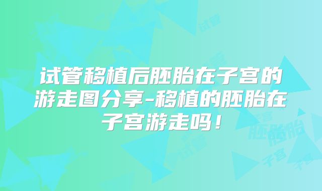 试管移植后胚胎在子宫的游走图分享-移植的胚胎在子宫游走吗！