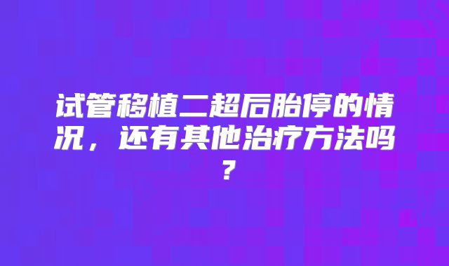 试管移植二超后胎停的情况，还有其他治疗方法吗？