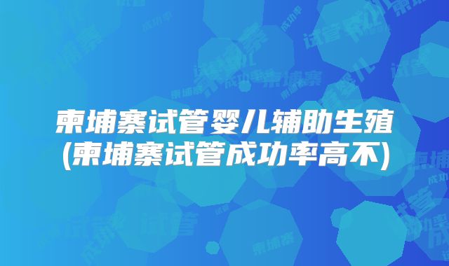 柬埔寨试管婴儿辅助生殖(柬埔寨试管成功率高不)