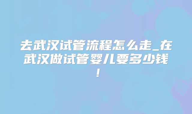 去武汉试管流程怎么走_在武汉做试管婴儿要多少钱！