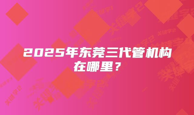 2025年东莞三代管机构在哪里?
