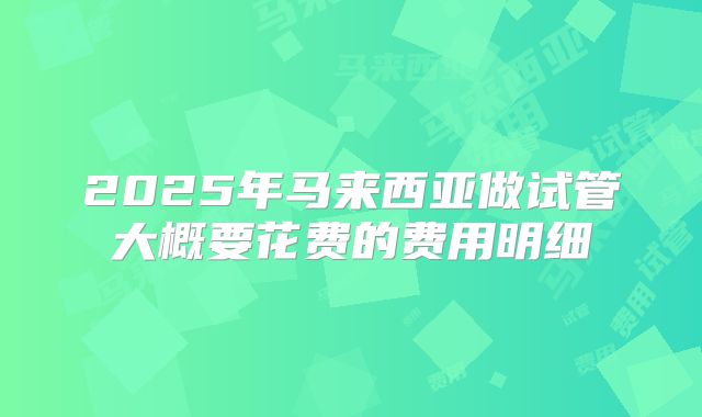 2025年马来西亚做试管大概要花费的费用明细