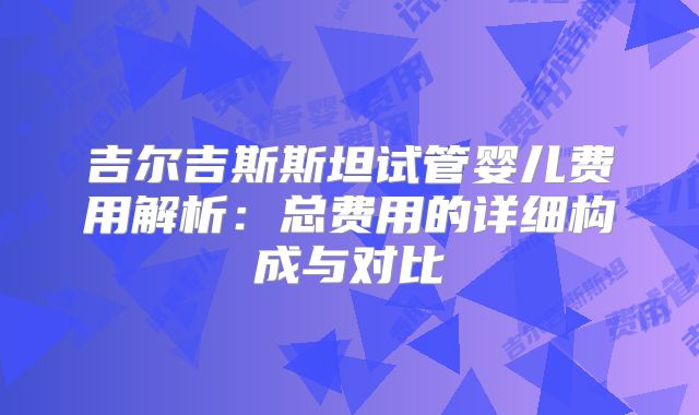 吉尔吉斯斯坦试管婴儿费用解析：总费用的详细构成与对比
