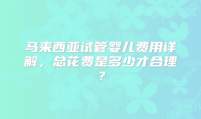 马来西亚试管婴儿费用详解，总花费是多少才合理？