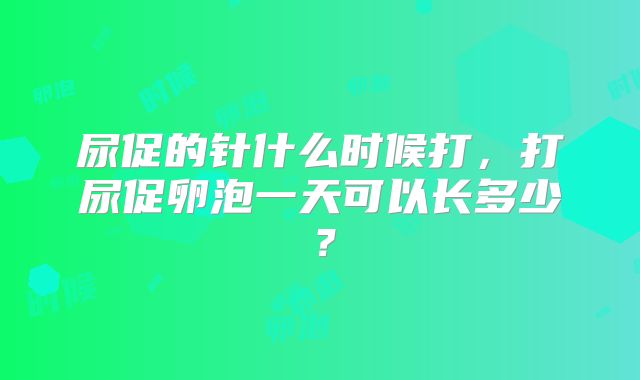 尿促的针什么时候打，打尿促卵泡一天可以长多少？