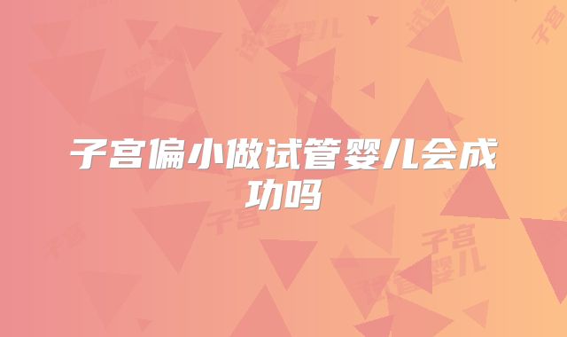 子宫偏小做试管婴儿会成功吗