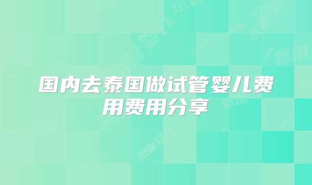 国内去泰国做试管婴儿费用费用分享