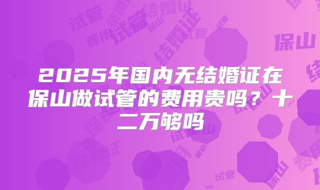 2025年国内无结婚证在保山做试管的费用贵吗?十二万够吗