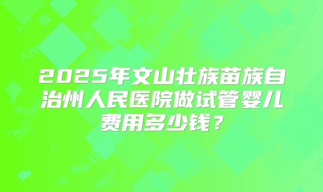 2025年文山壮族苗族自治州人民医院做试管婴儿费用多少钱?
