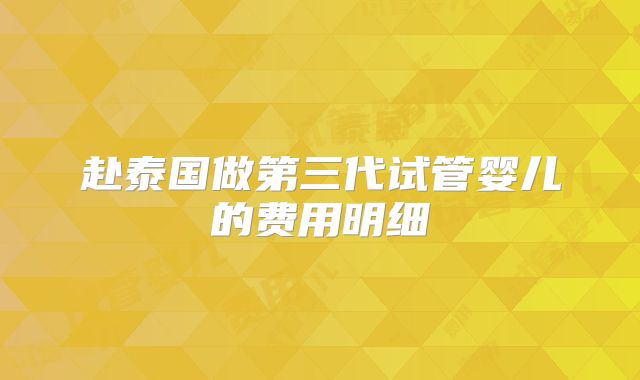 赴泰国做第三代试管婴儿的费用明细