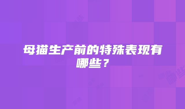 母猫生产前的特殊表现有哪些?