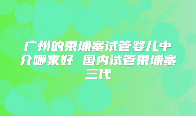 广州的柬埔寨试管婴儿中介哪家好 国内试管柬埔寨三代