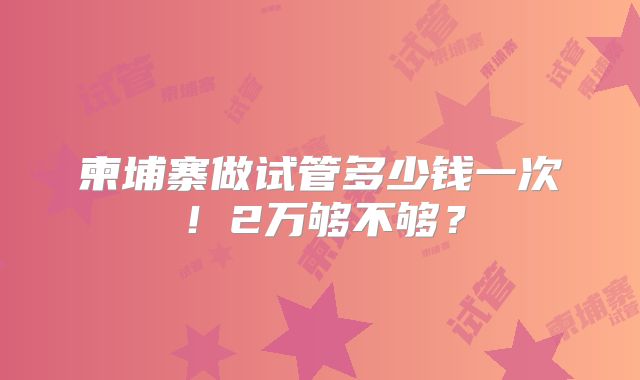 柬埔寨做试管多少钱一次！2万够不够？