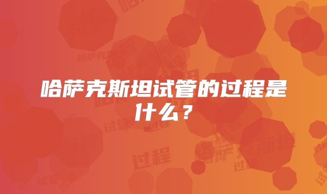 哈萨克斯坦试管的过程是什么?