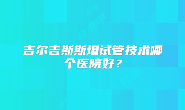 吉尔吉斯斯坦试管技术哪个医院好？