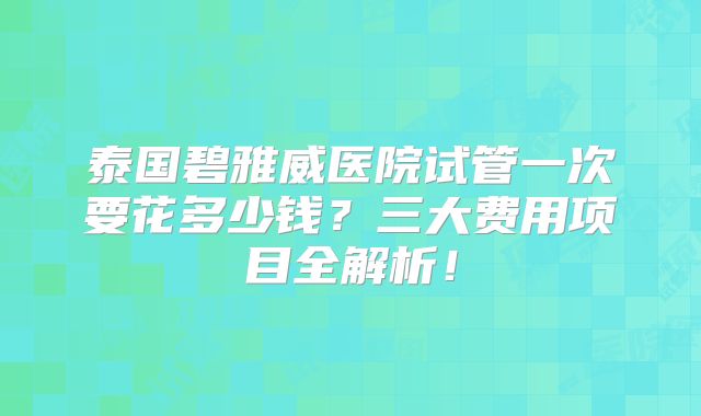 泰国碧雅威医院试管一次要花多少钱?三大费用项目全解析!