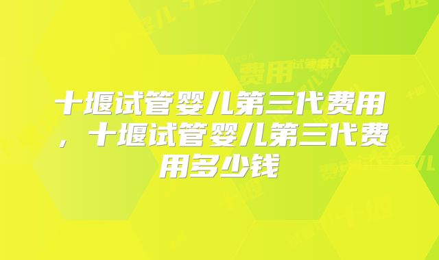 十堰试管婴儿第三代费用，十堰试管婴儿第三代费用多少钱
