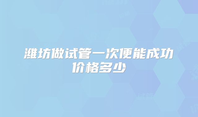 潍坊做试管一次便能成功价格多少