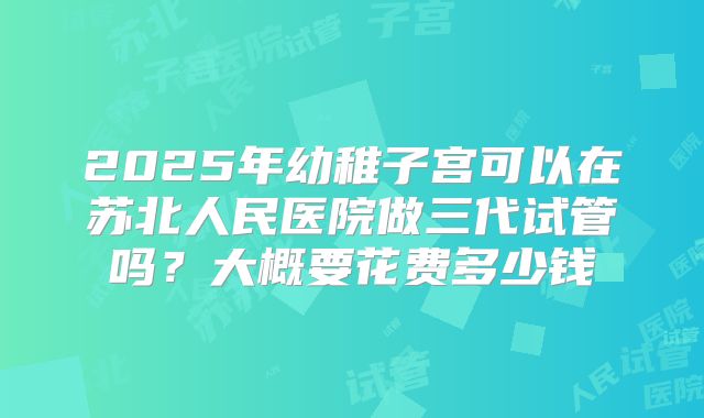 2025年幼稚子宫可以在苏北人民医院做三代试管吗?大概要花费多少钱