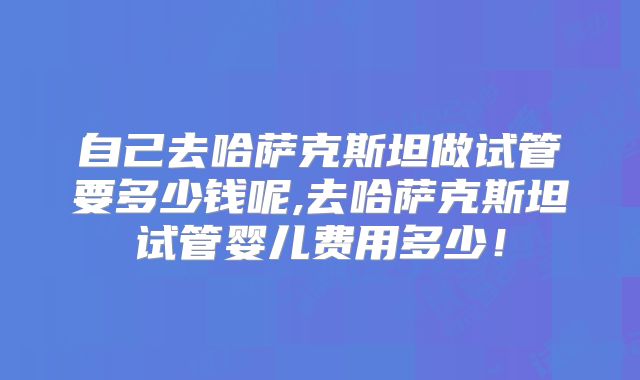 自己去哈萨克斯坦做试管要多少钱呢,去哈萨克斯坦试管婴儿费用多少！
