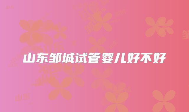 山东邹城试管婴儿好不好